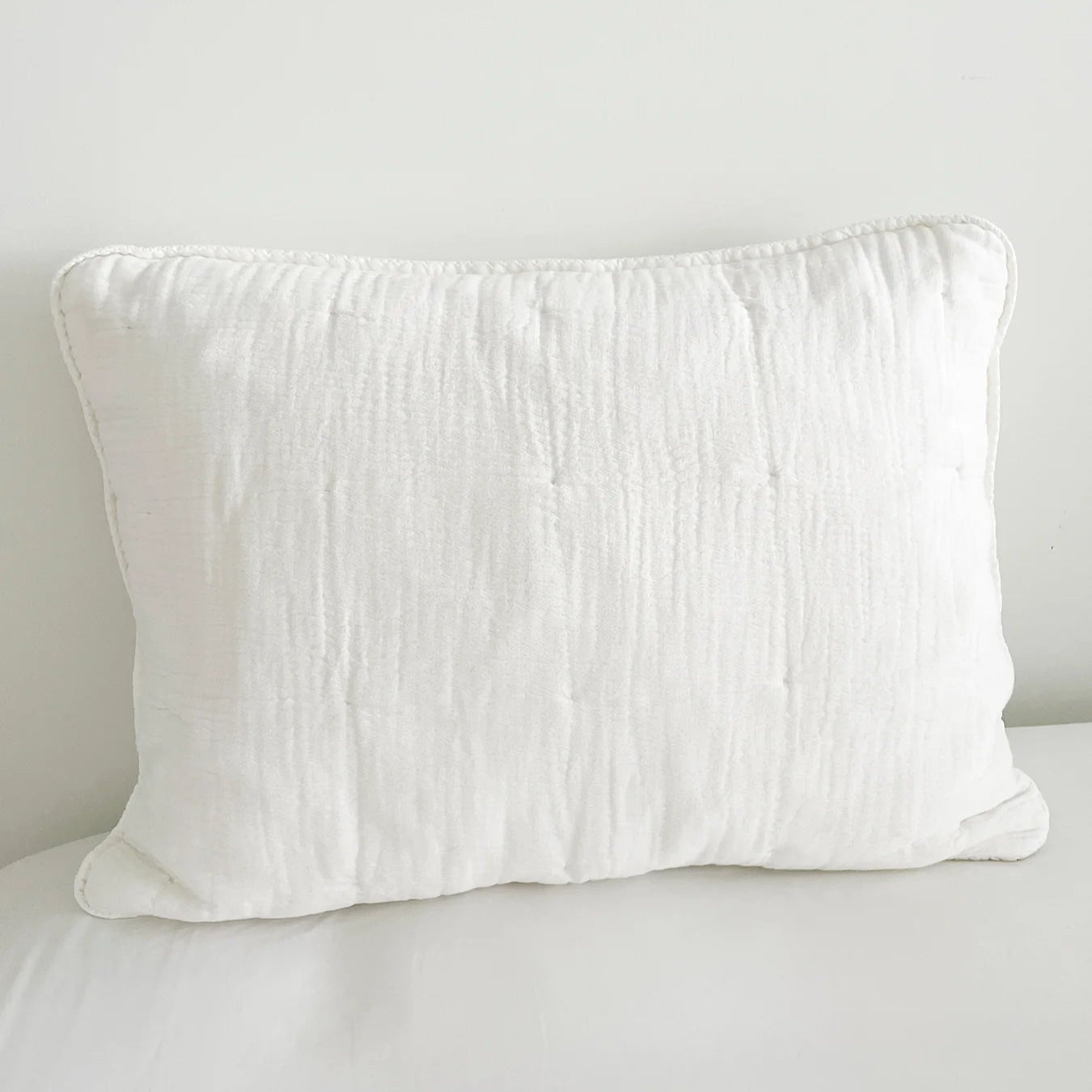 So Soft Cloud Sleeping Pillow Insert